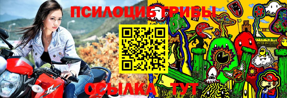 Псилоцибиновые грибы Cubensis  Вход с VPN  Псилоцибиновые грибы MAGIC MUSHROOMS  Новотроицк 